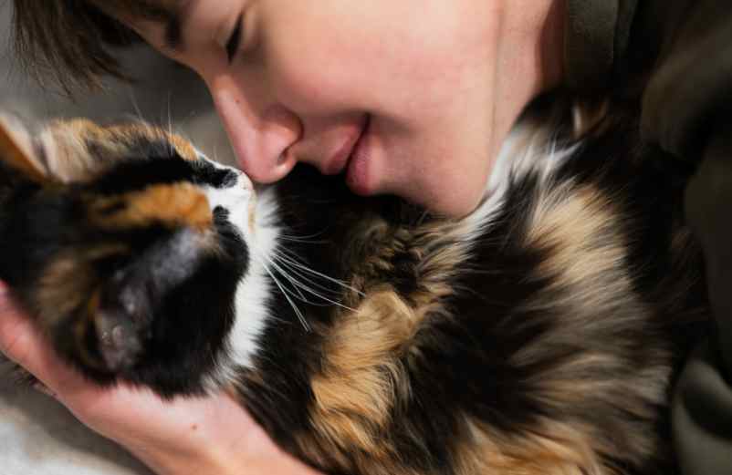 Mon chat me lèche : de l’amour, de l’amour et encore de l’amour cge-news.com