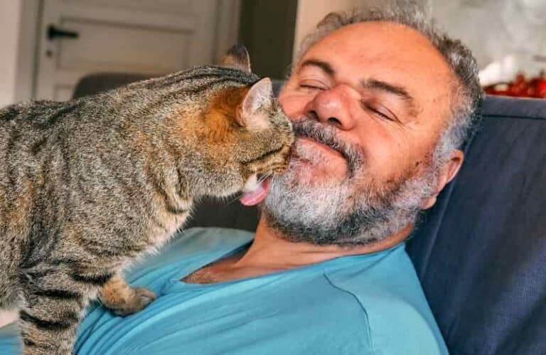 Pourquoi mon chat me lèche et me mordille ? cge-news.com