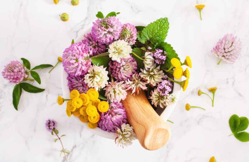 L'accompagnement d'un naturopathe pour la santé intime-cge-news.com