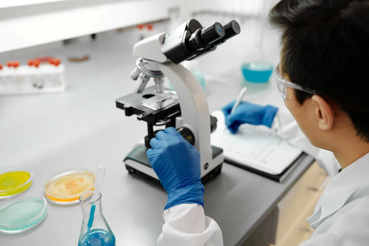 Boîtes de Pétri et équipement de laboratoire pour tester des composés de champignons