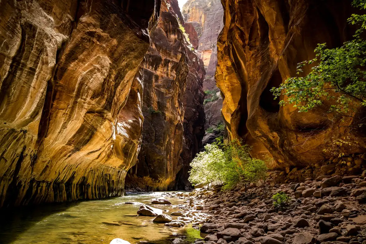 Randonnée dans un canyon avec rivière et hautes parois rocheuses imposantes