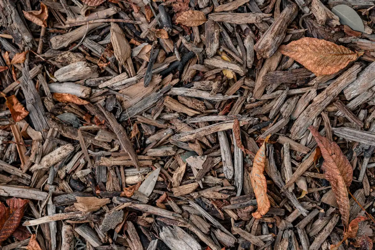 Différents matériaux naturels pour le paillage : feuilles, tontes, compost et broyat