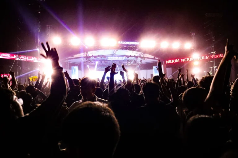 Foule de spectateurs lors d'un concert de metal, vue de dos avec silhouettes en mouvement