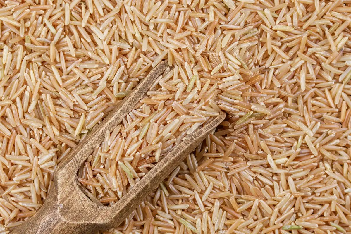 Bol de céréales complètes variées avec fruits frais et noix