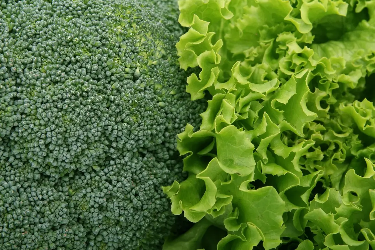 Variété de légumes et aliments complets colorés, représentant les sources de fibres bénéfiques pour le microbiote