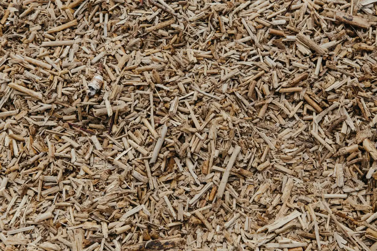 Différents matériaux de paillis : tontes sèches, copeaux de bois et paille étalés au sol
