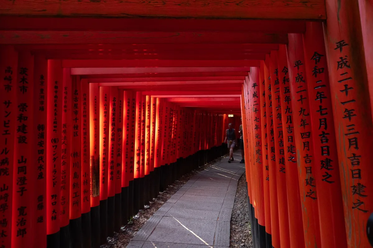 Tunnel de torii orangés menant en montagne au sanctuaire