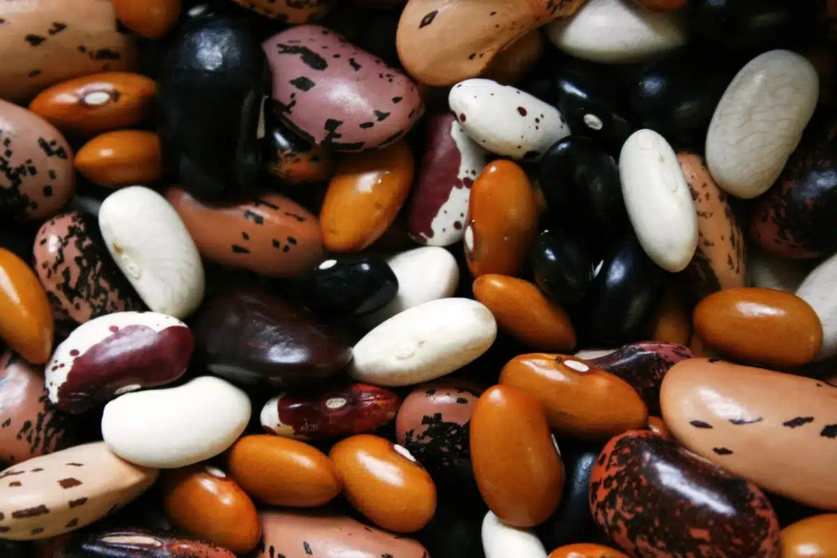 Assortiment d'aliments riches en fibres : flocons d'avoine, légumes et légumineuses sur une planche