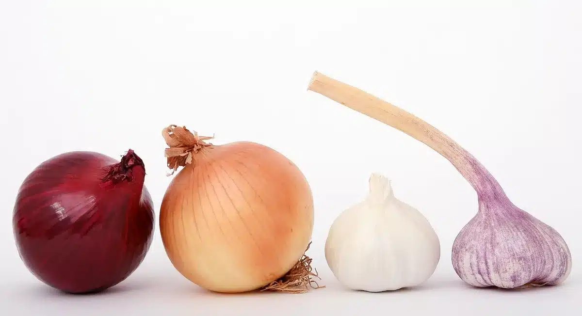 Sélection d'aliments prébiotiques : oignon, ail, poireau, asperges et bananes peu mûres
