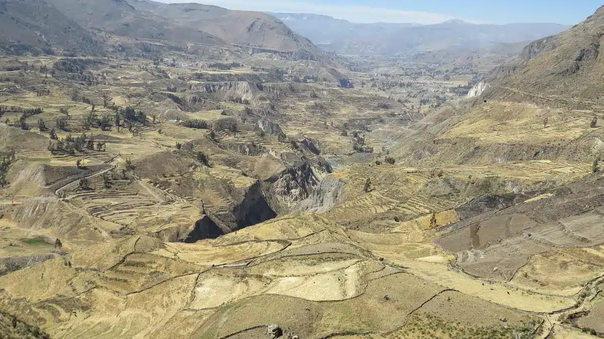 Terrasses agricoles sur le plateau de Dieng baignée de lumière du jour