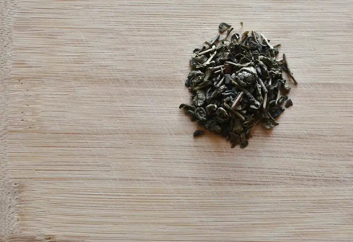 Gros plan de feuilles de thé vert fraîches