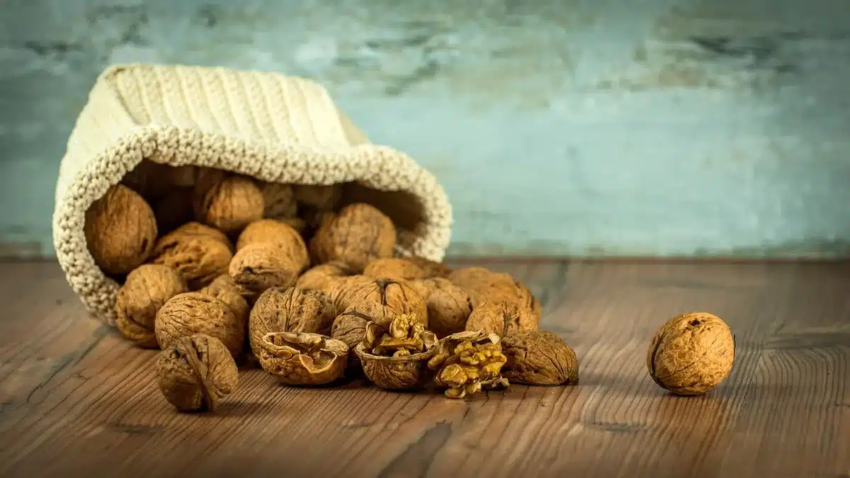 Assortiment de snacks transformés sur une table illustrant l'hyperpalatabilité
