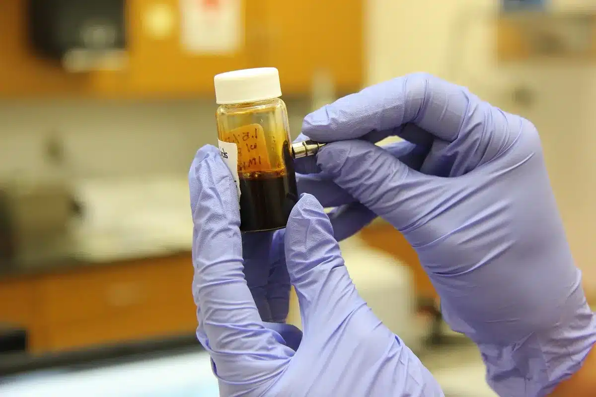 Souris de laboratoire dans un environnement expérimental contrôlé