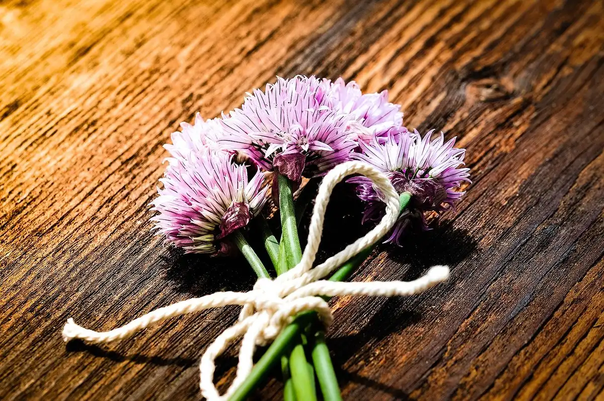 Bocaux d'herbes fraîches sur un comptoir de cuisine