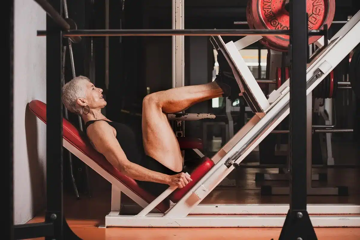 Schéma musculaire et haltères sur une table pour expliquer les réserves de créatine