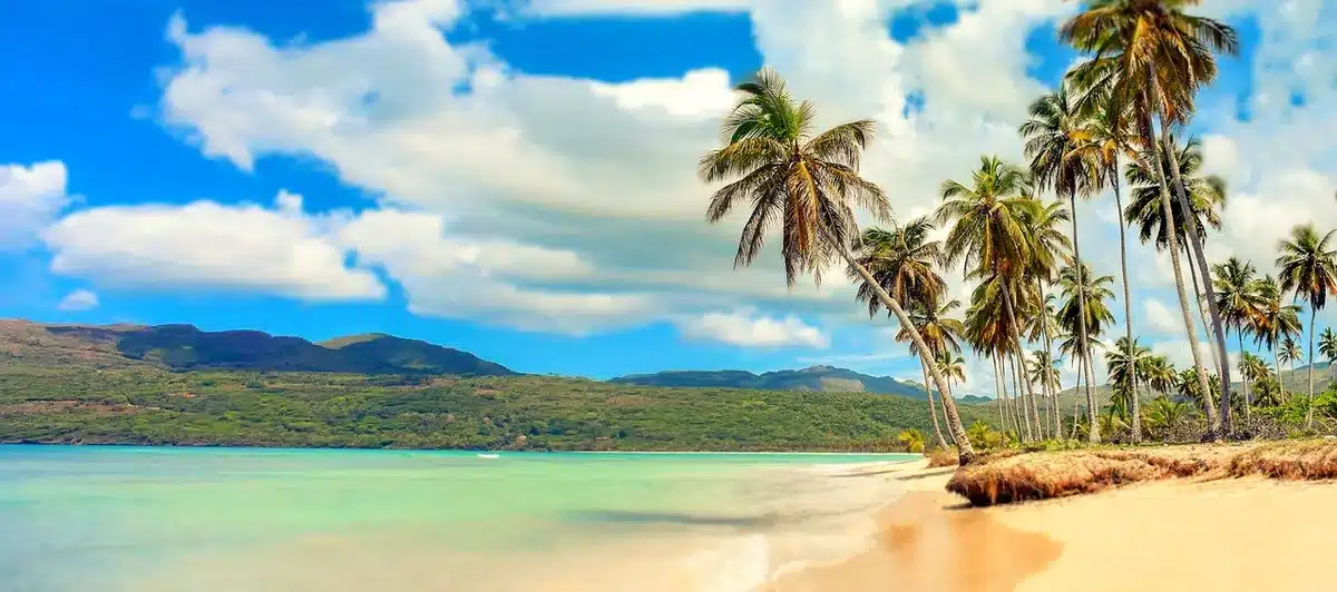 Plage animée avec hôtels en arrière-plan et chaises longues