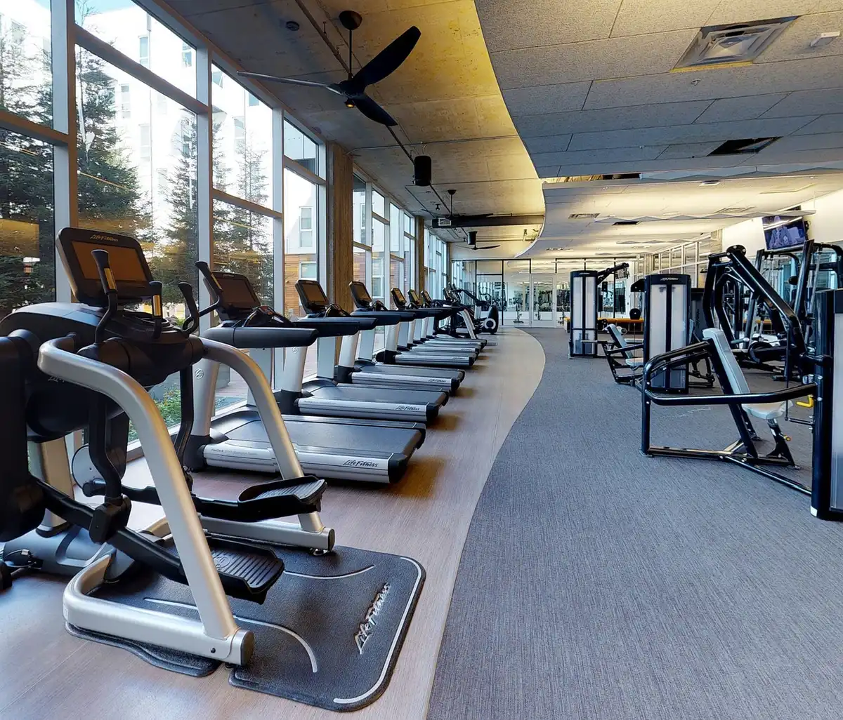 Personnes faisant renforcement musculaire et cardio en journée