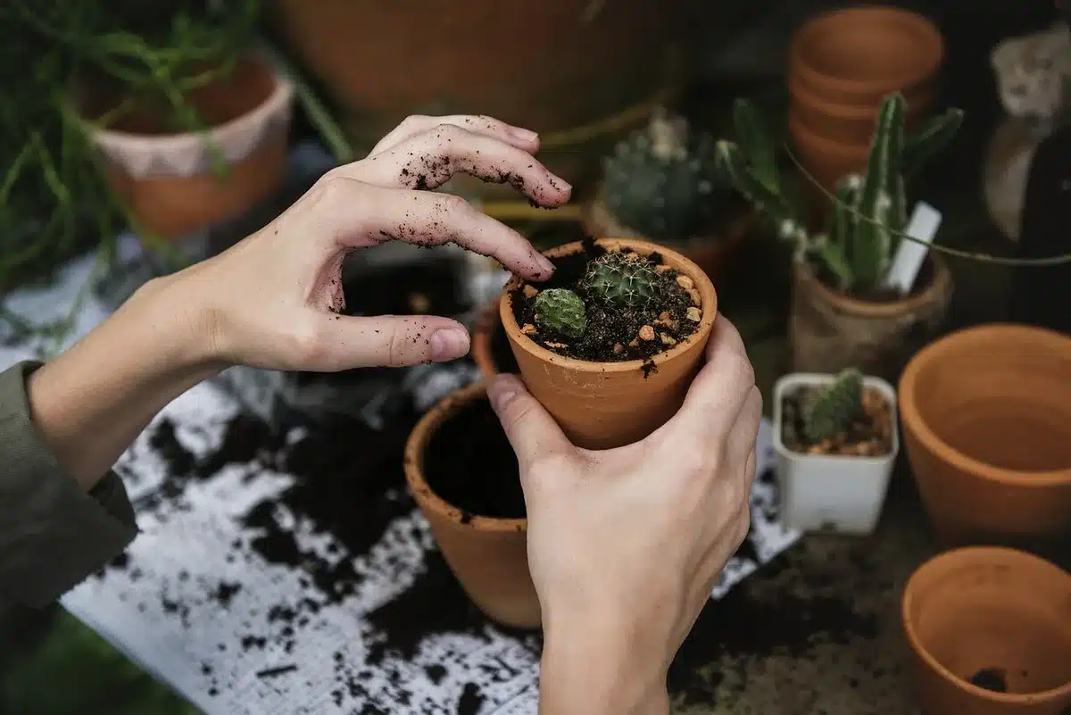 Sol de jardin couvert de paillis végétal protégeant la terre en hiver