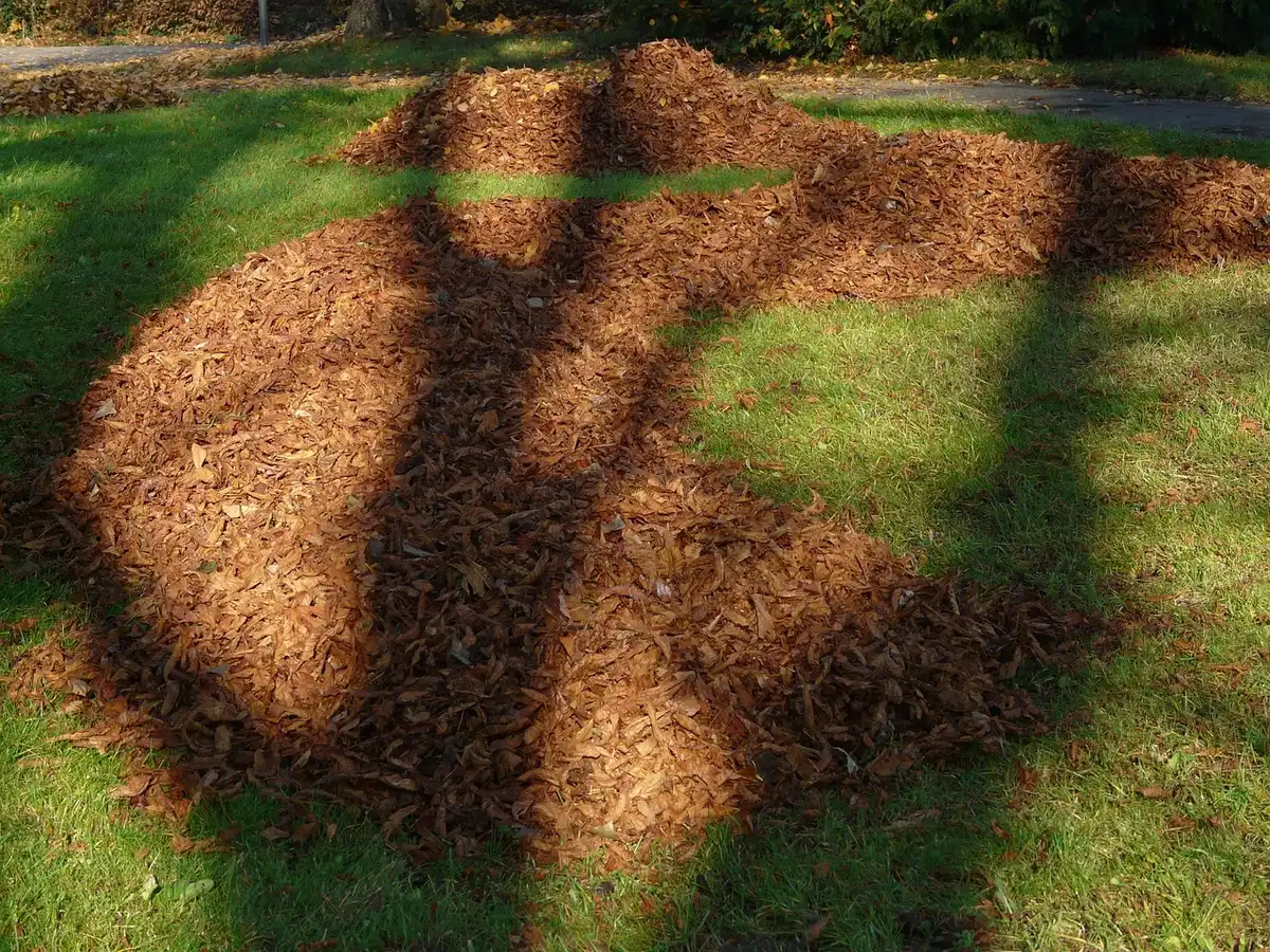 Tas de feuilles mortes près d'une haie protégeant le sol et la faune