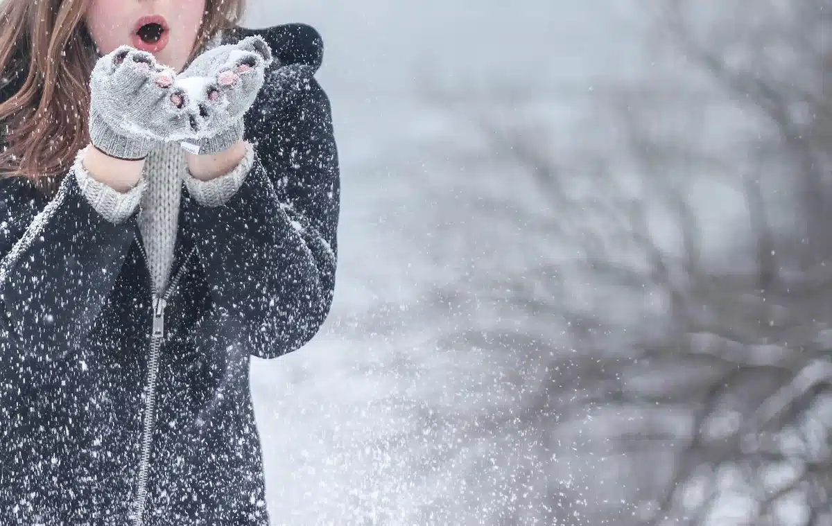 Personne portant des gants examinant la litière de feuilles près d'un sentier