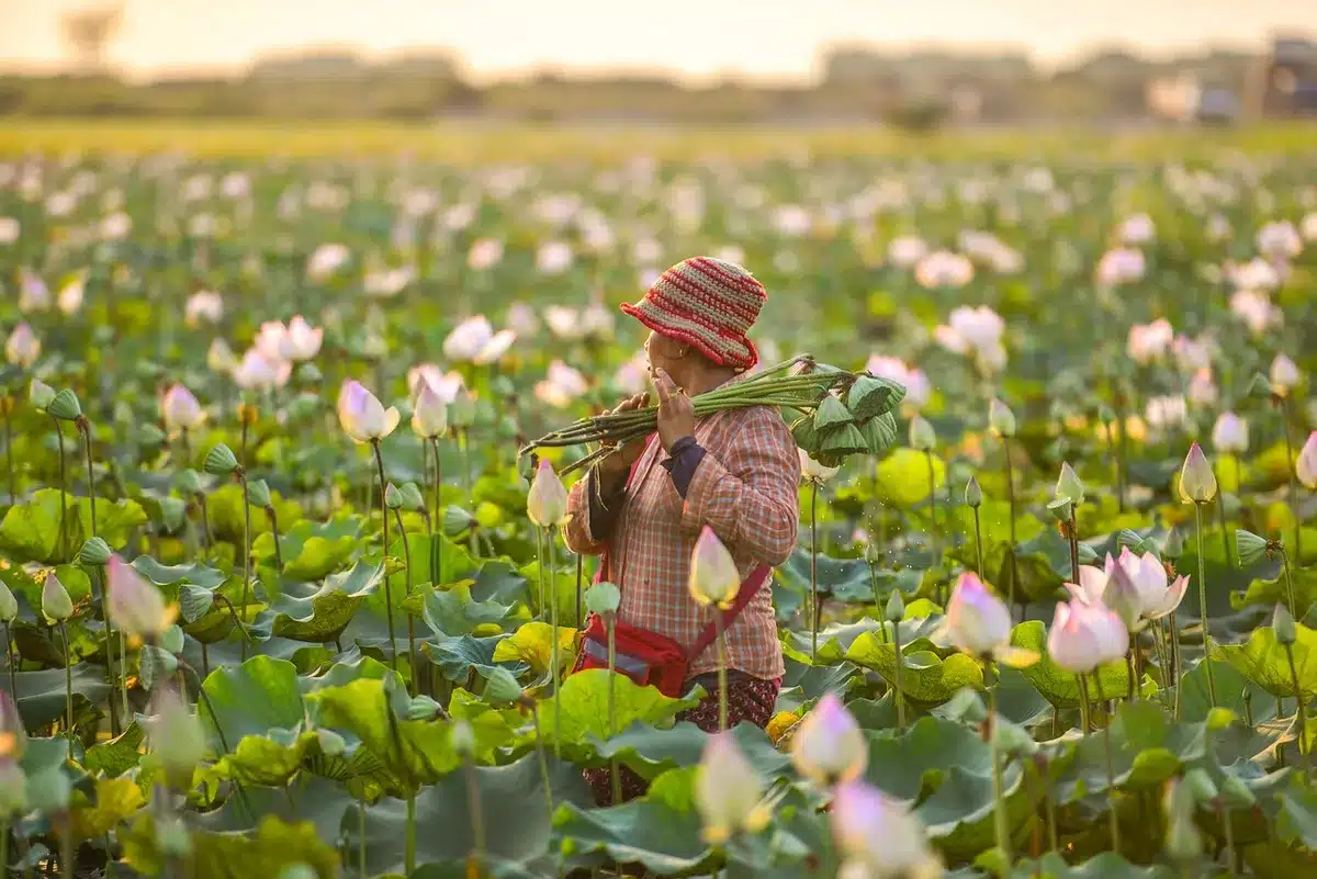 Petite image de la déesse vêtue de blanc avec lotus et mala sur un autel