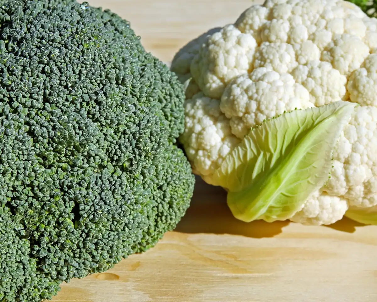 Assortiment de légumes crucifères frais sur une table de cuisine