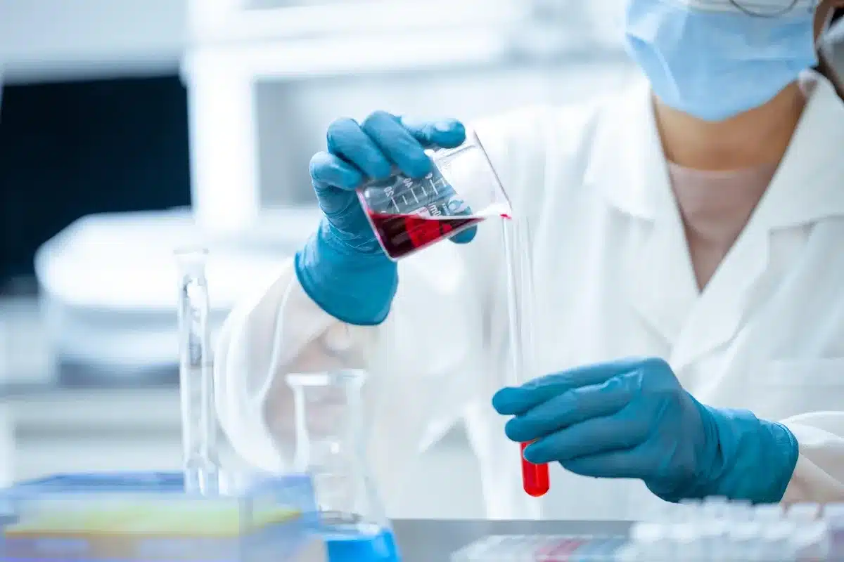 Cultures cellulaires en laboratoire montrant des cellules tumorales en prolifération