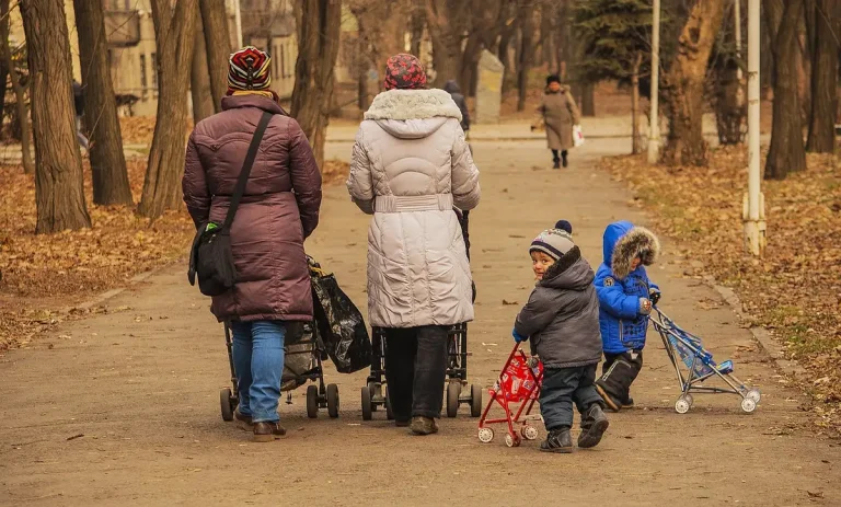 Trottoir ensoleillé couvert de feuilles, balai et râteau appuyés contre un muret
