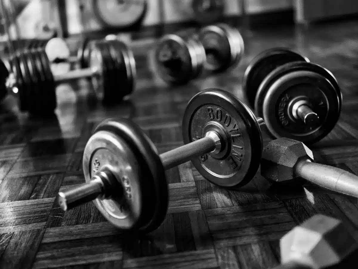 Séance de renforcement musculaire avec haltères près d'une fenêtre