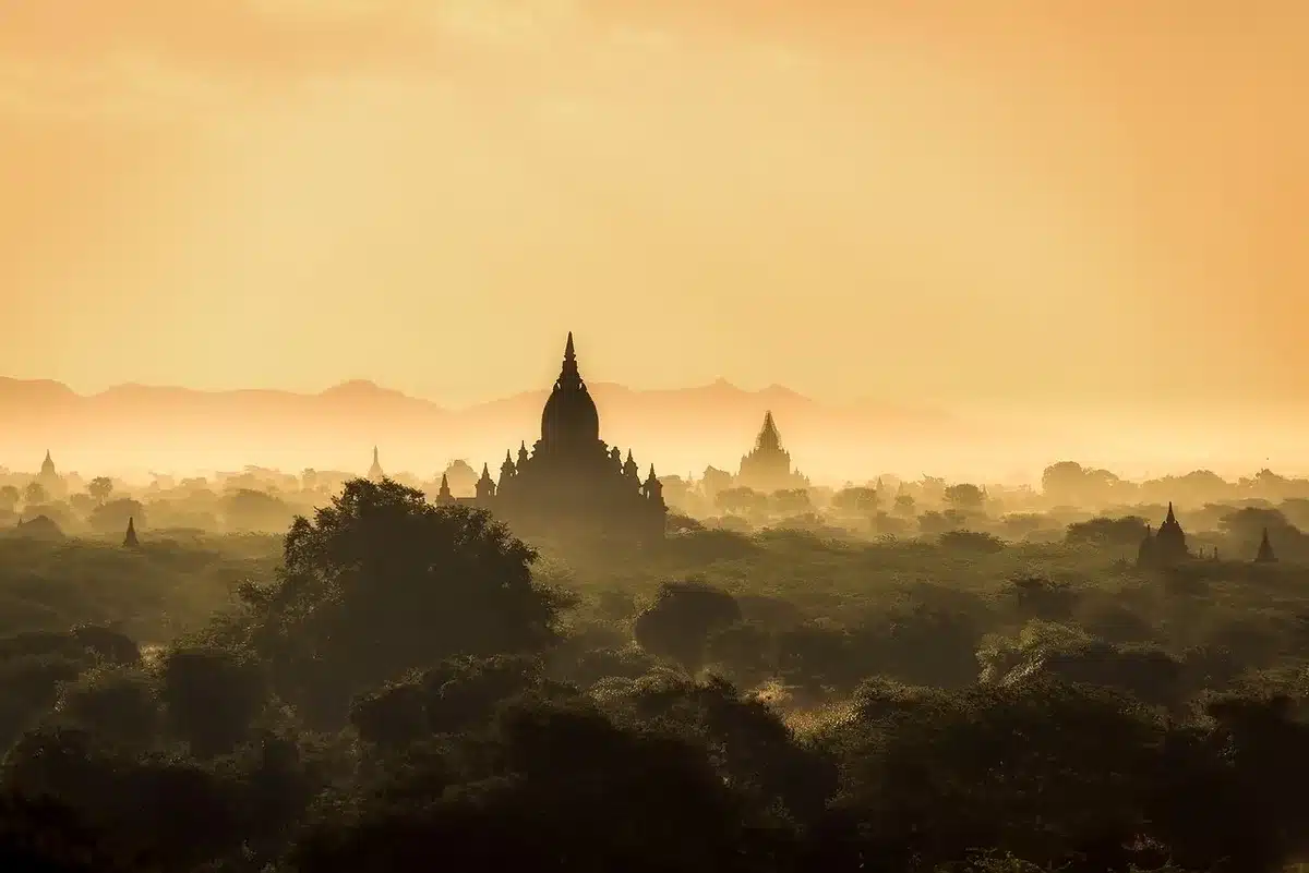 Vue matinale depuis la canopée près d'un temple à Tikal